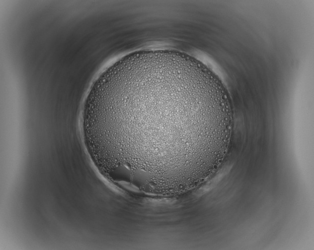 X0000111431429200907201059