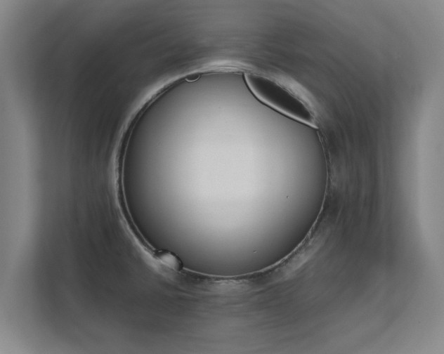 X0000111431430200907201059