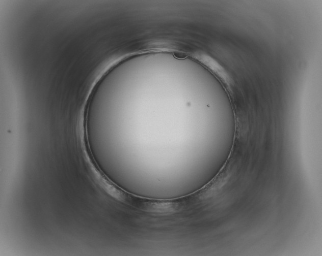 X0000111431431200907201059