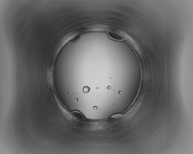 X0000111431433200907201059