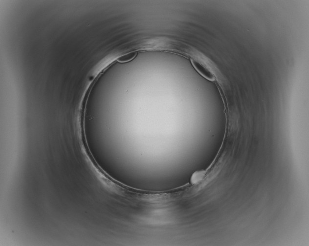 X0000111431434200907201059