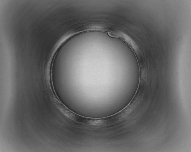 X0000111431435200907201059