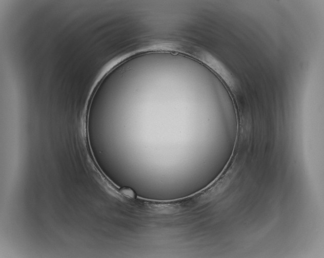 X0000111431436200907201059