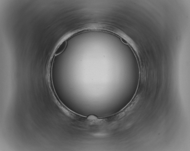 X0000111431437200907201059