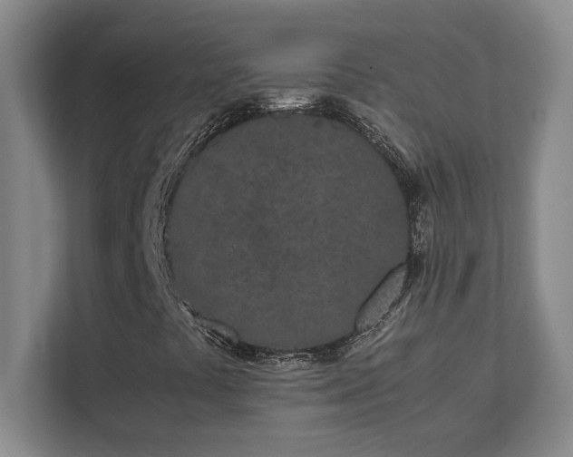 X0000111431441200907201058