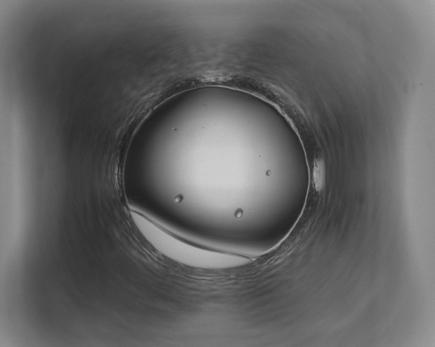 X0000111431444200907201058