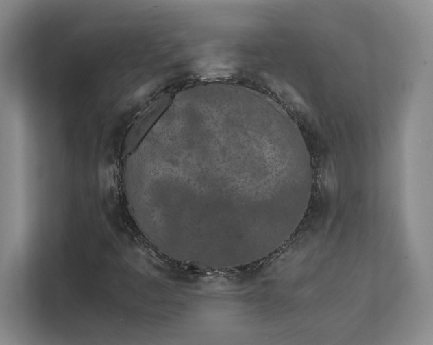 X0000111431445200907201058