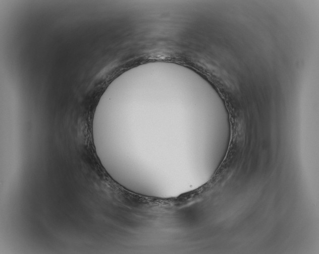 X0000111431446200907201058