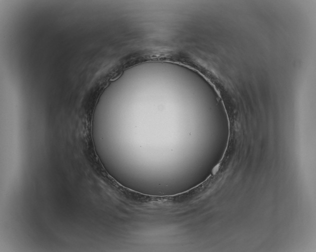 X0000111431447200907201058