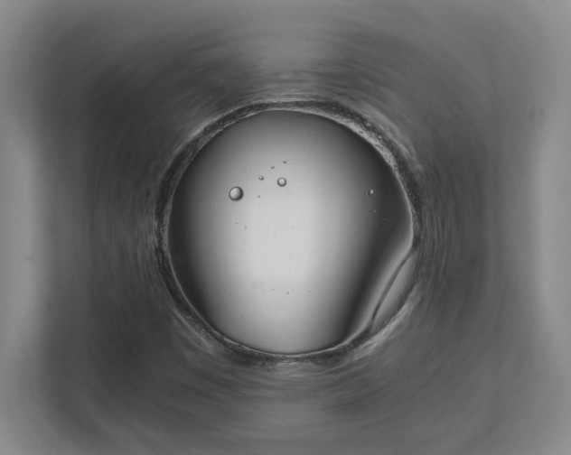 X0000111431449200907201058