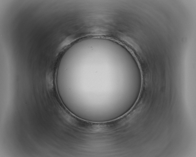 X0000111431451200907201058