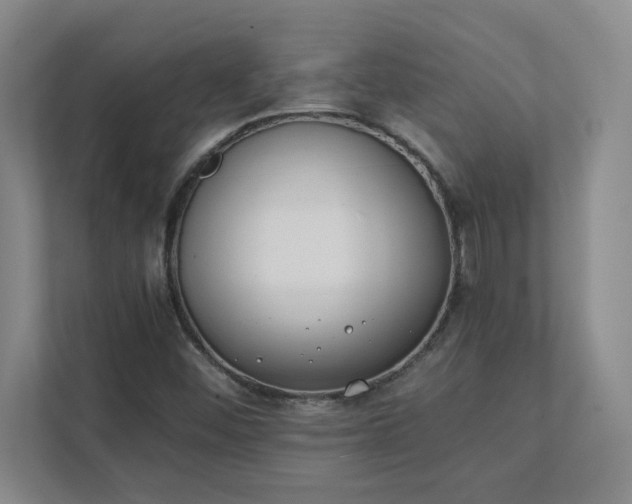 X0000111431452200907201058