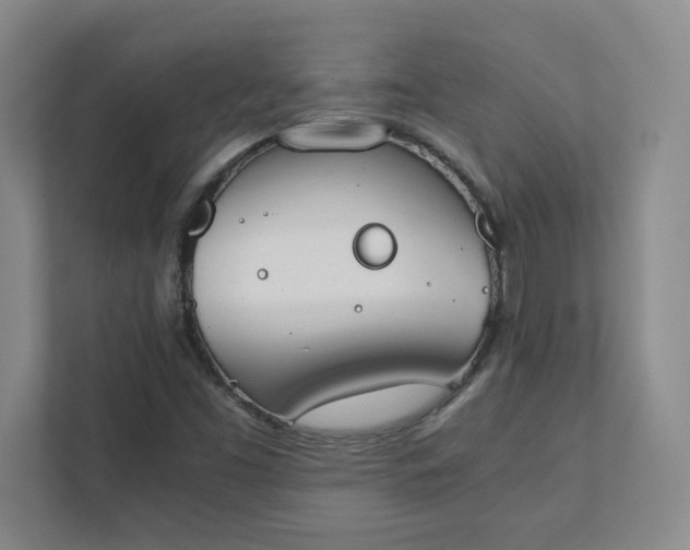 X0000111431453200907201058