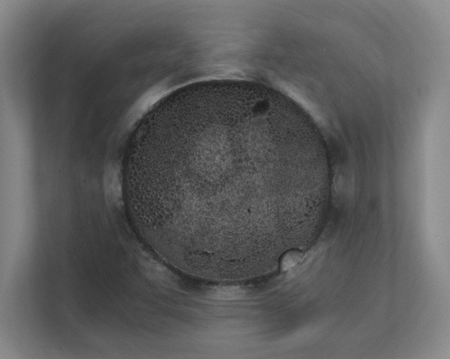 X0000111431455200907201058