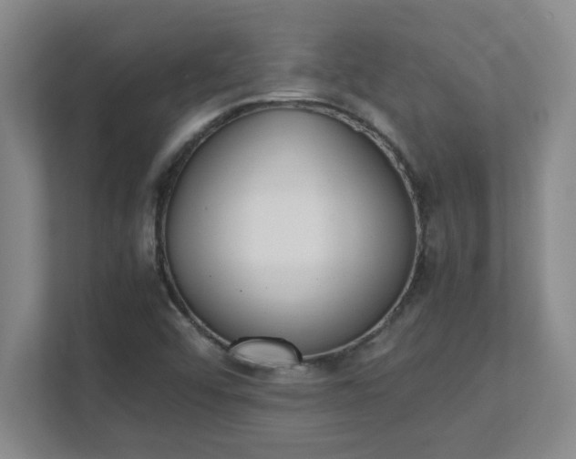 X0000111431456200907201058