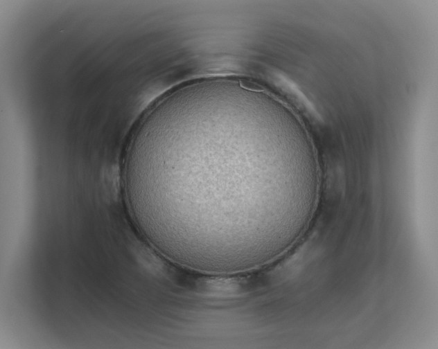 X0000111431457200907201058