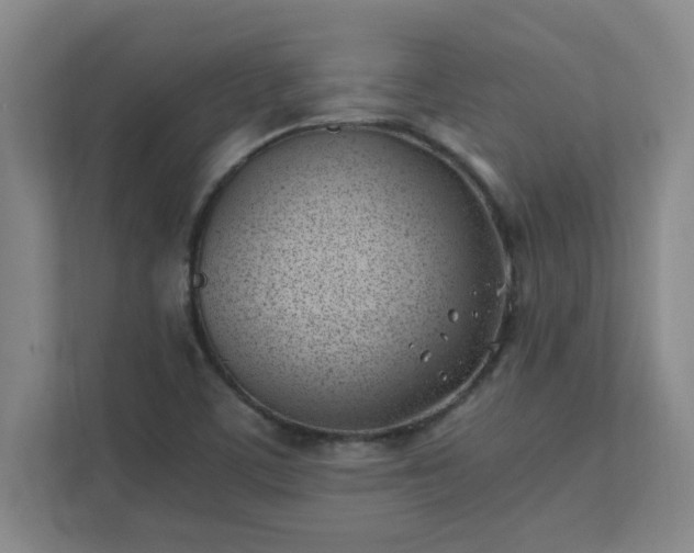 X0000111431459200907201058