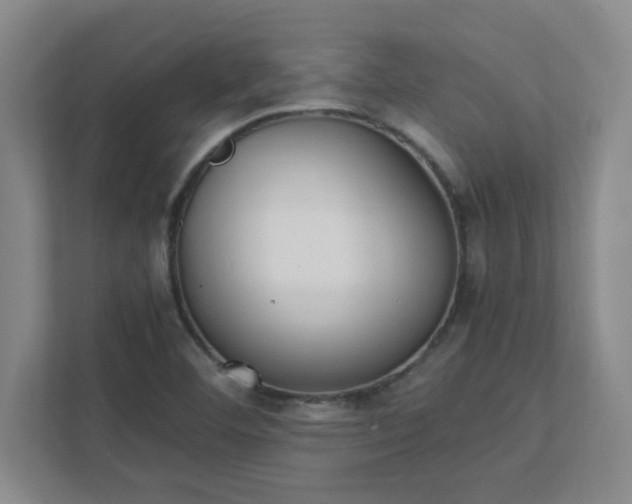 X0000111431460200907201058