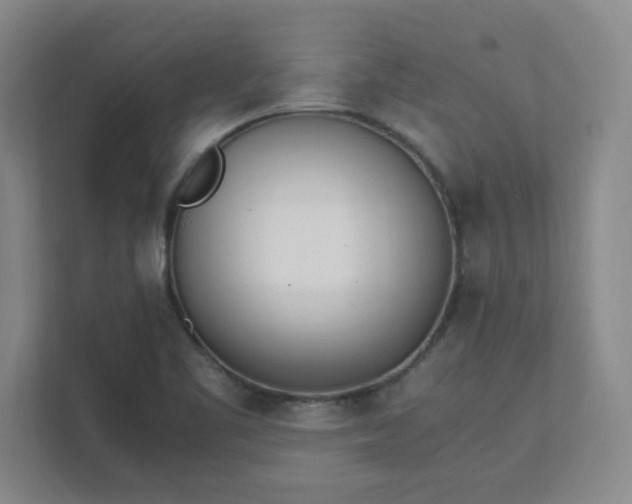 X0000111431461200907201058