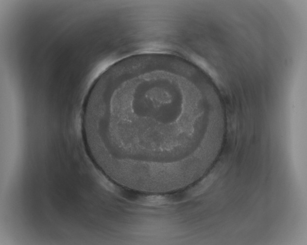 X0000111431463200907201058