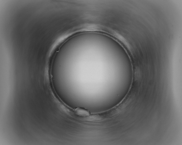 X0000111431464200907201058