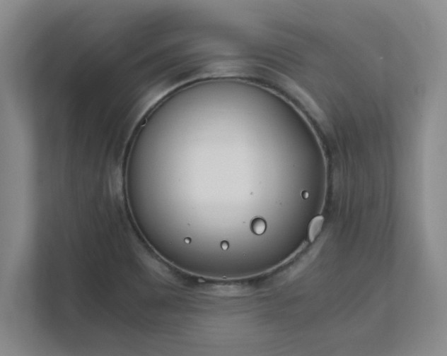 X0000111431465200907201058