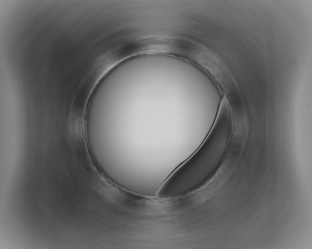 X0000111431473200907201058