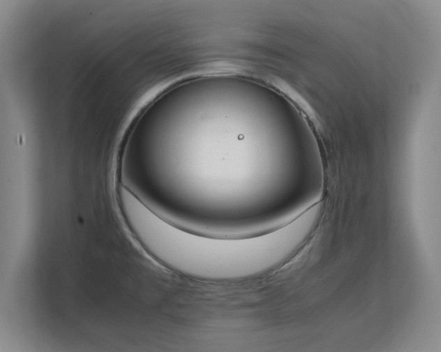 X0000111431477200907201058