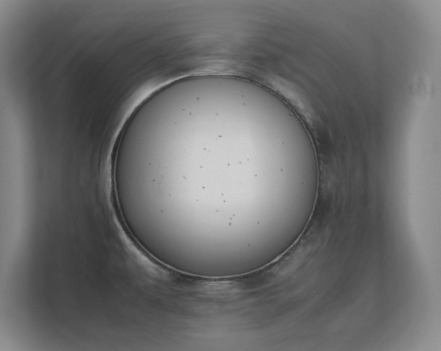 X0000111431479200907201058