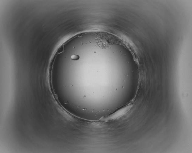 X0000111431480200907201058