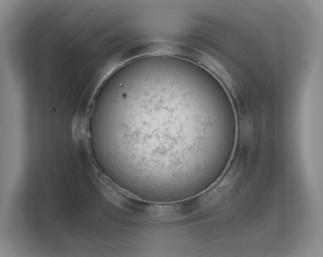 X0000111431481200907201058