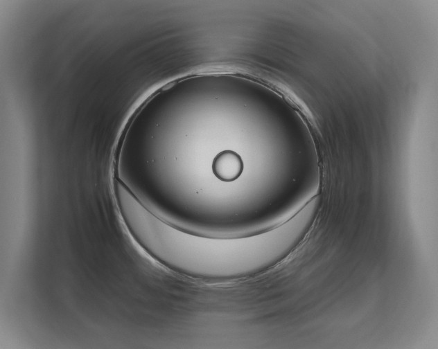 X0000111431484200907201058