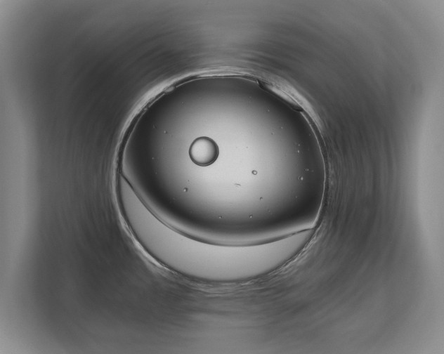 X0000111431485200907201058