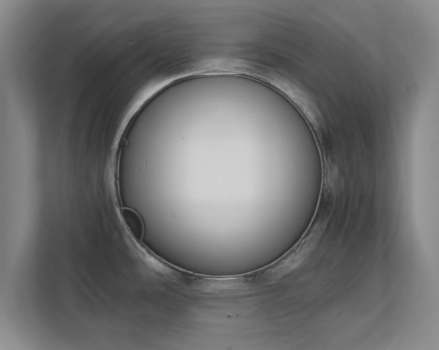 X0000111431486200907201058