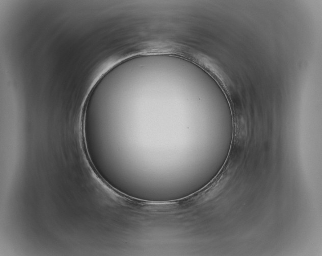 X0000111431487200907201058