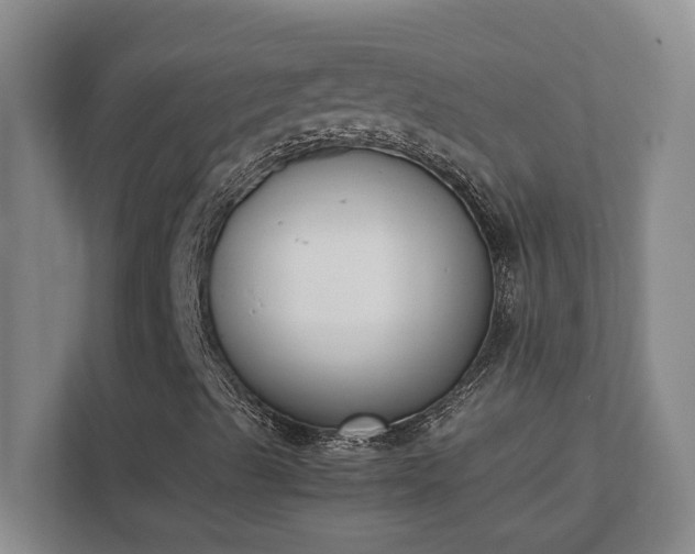 X0000111431489200907201057