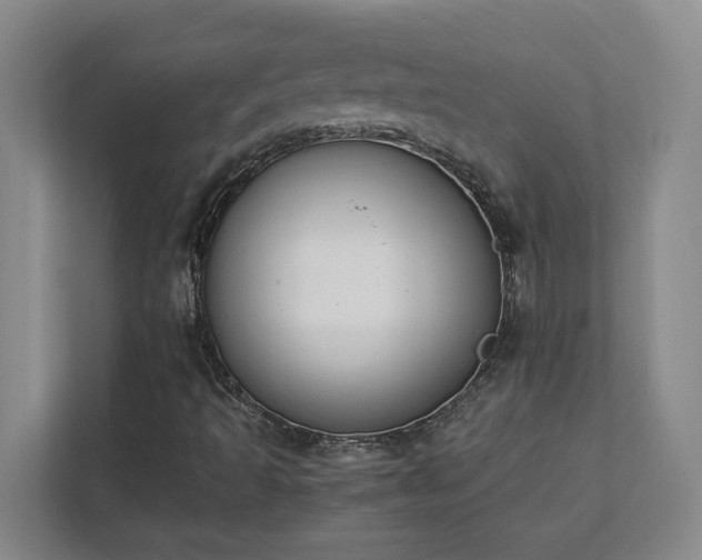 X0000111431493200907201057