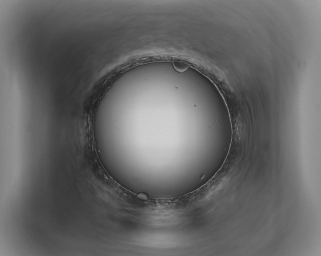 X0000111431494200907201057