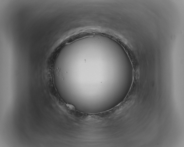 X0000111431496200907201057