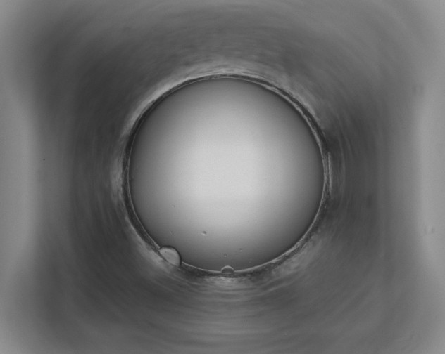 X0000111431500200907201057