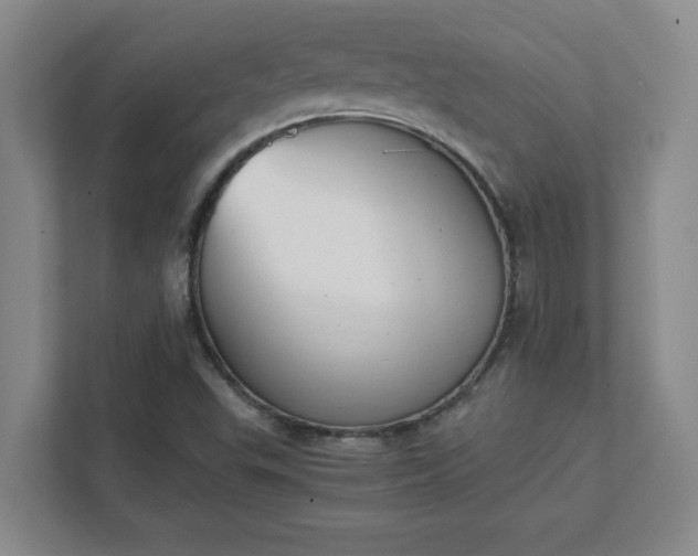 X0000111431503200907201057