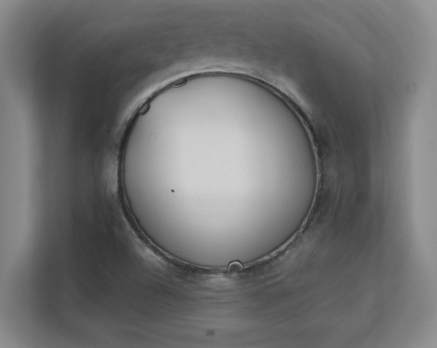 X0000111431504200907201057