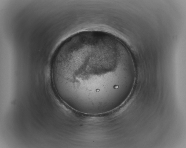 X0000111431506200907201057