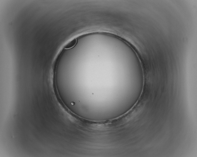 X0000111431508200907201058