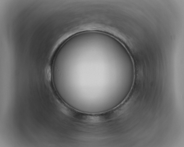 X0000111431509200907201058