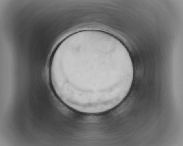 X0000111431514200907201058