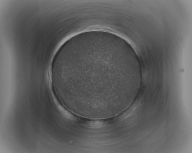 X0000111431515200907201058