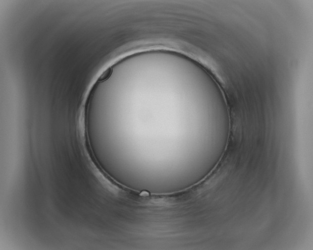 X0000111431516200907201058