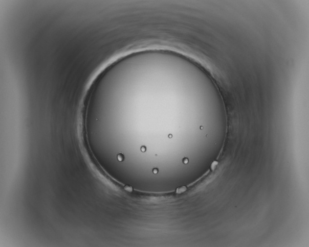 X0000111431518200907201058