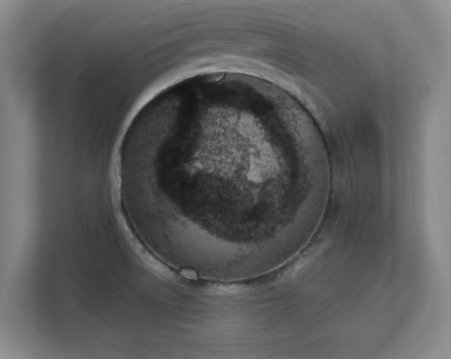 X0000111431522200907201058